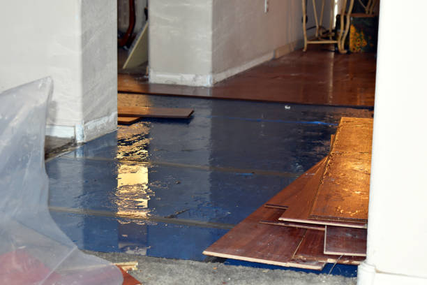 Professional Burst Pipe Cleanup technician working in East Springfield, PA